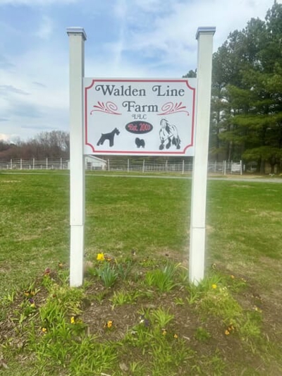 Post & Panel Signs Photo